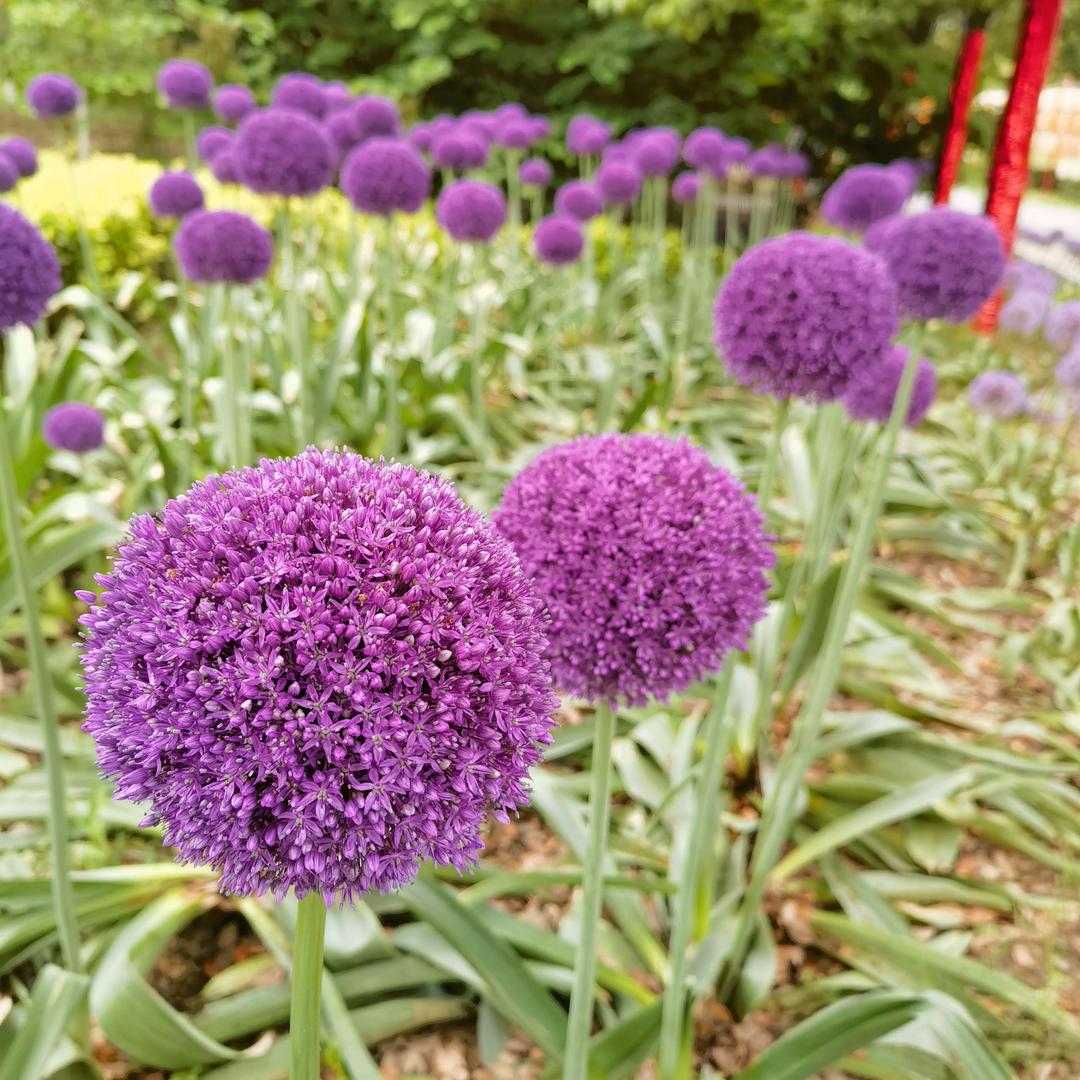 改变不了别人就改变自己