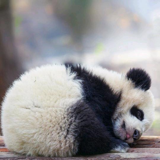 年轻真好