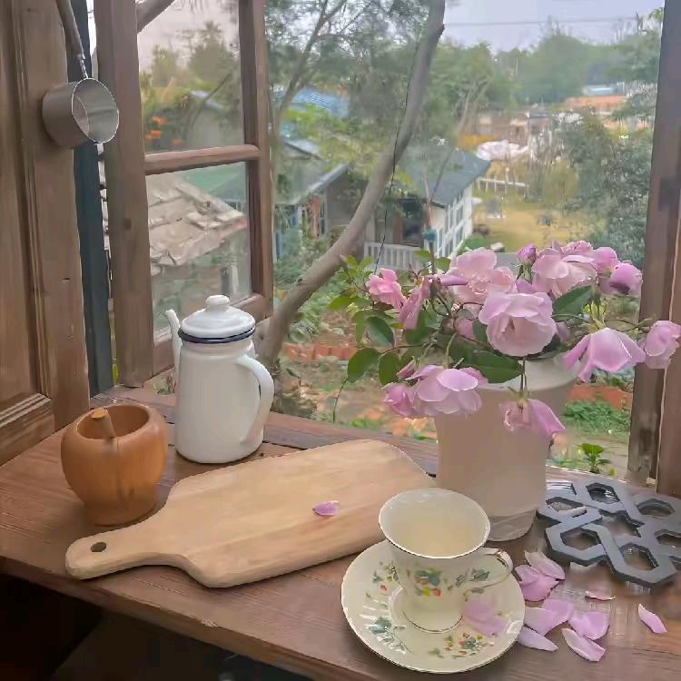 小小番茄耶
