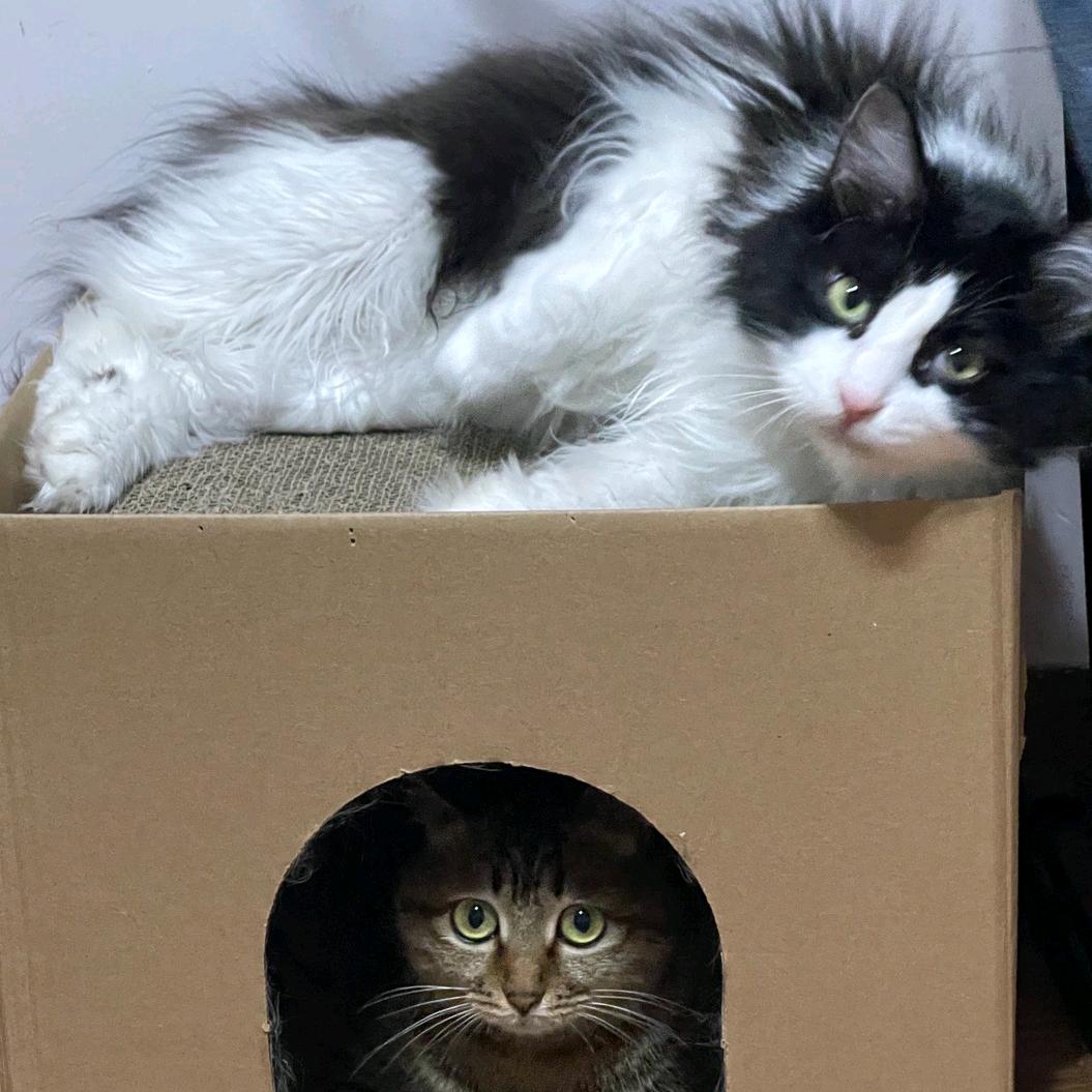商家服务专员小赵
