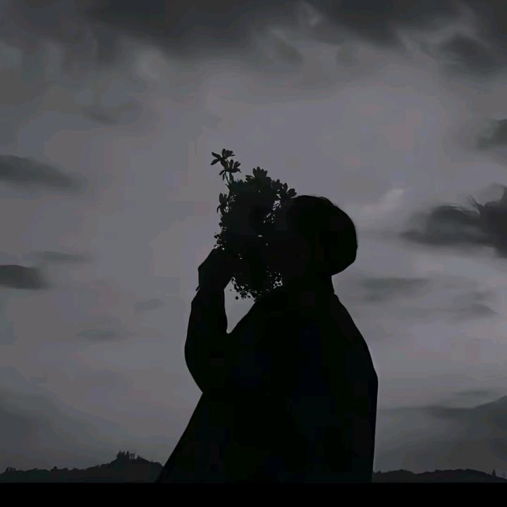 南沐成辰