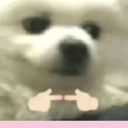 鱼鱼爱吃鱼