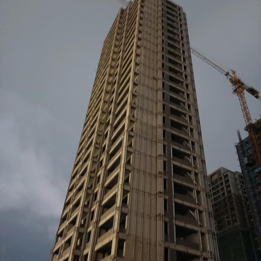 草木有本心🐒🐒