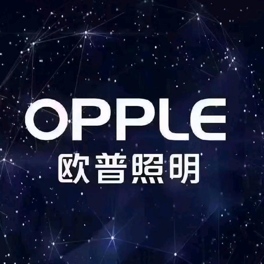 欧普照明 — 赵