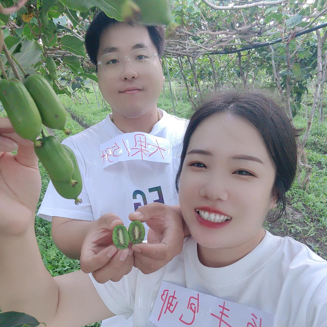 长白山（奇异莓软枣猕猴桃）