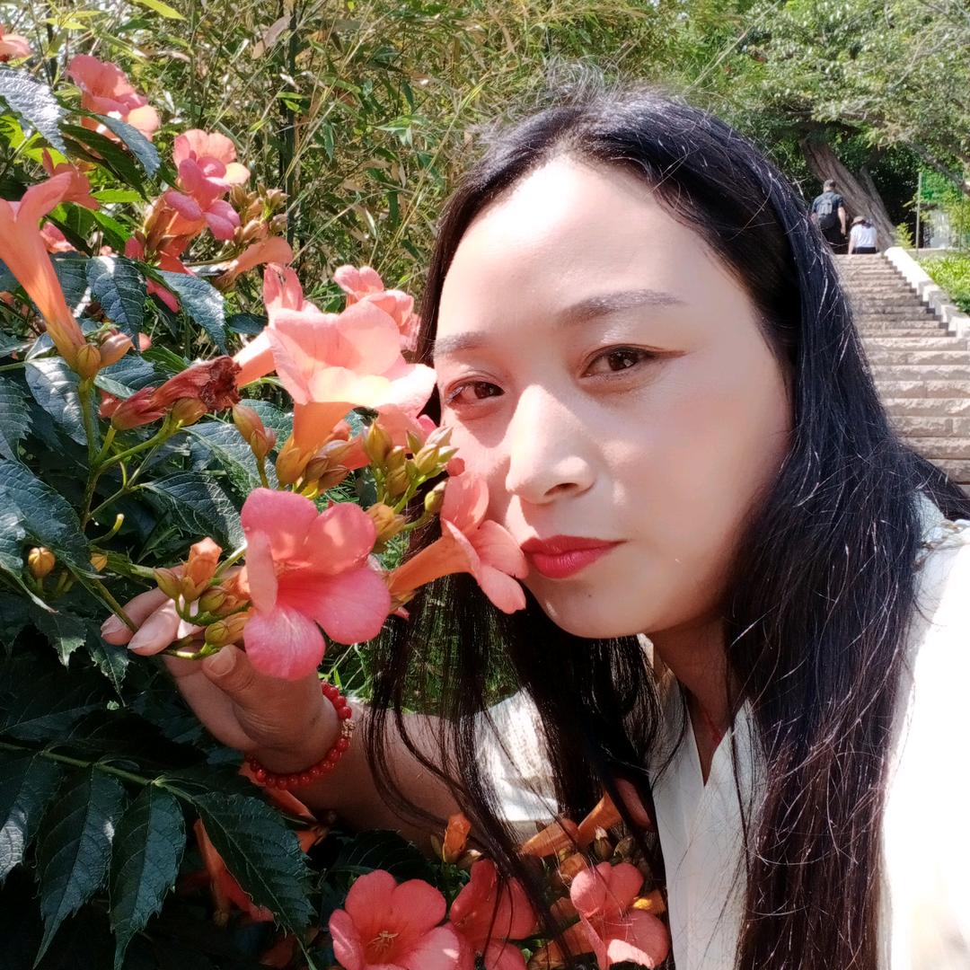 陕西玫玫