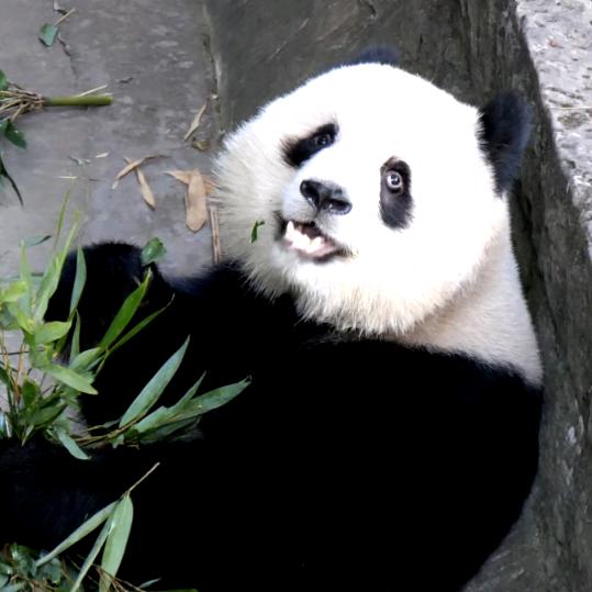 💕温柔待余生💕