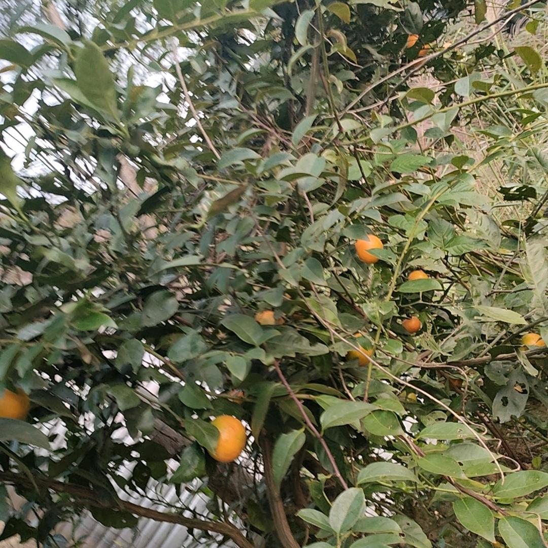 $^O^蓦然^O^