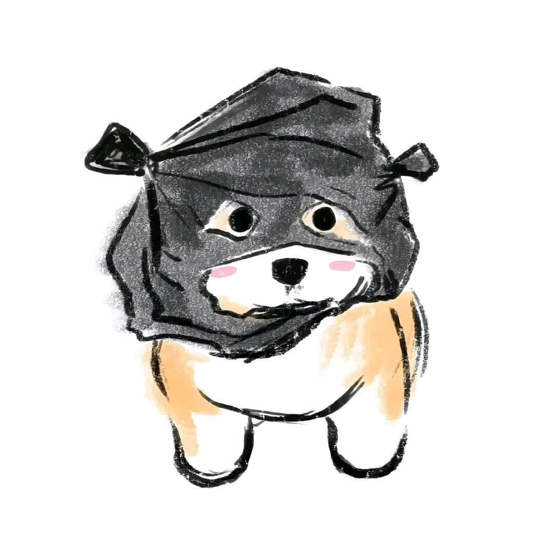 竹风