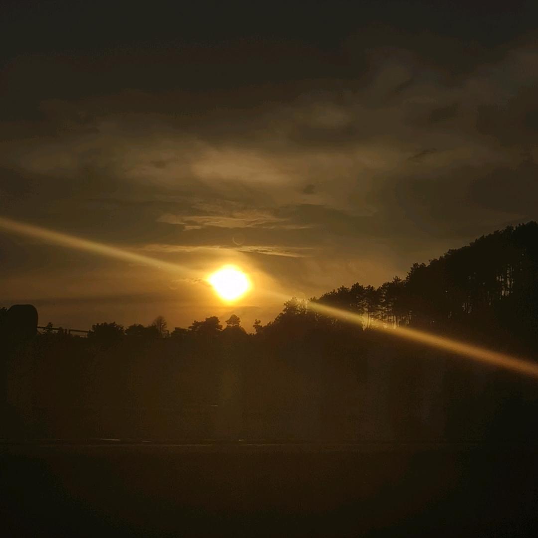 沐羽.