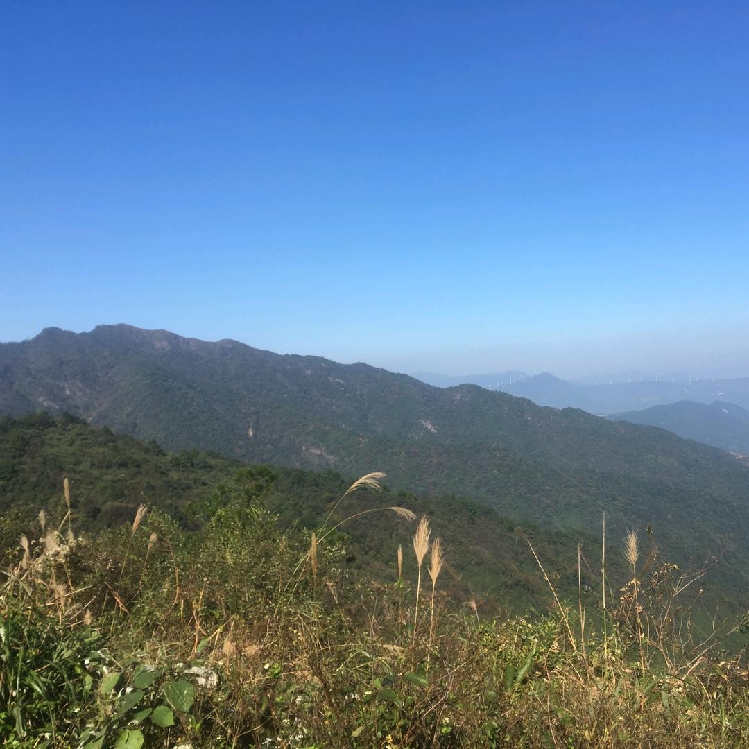 不忘初心牢记使命