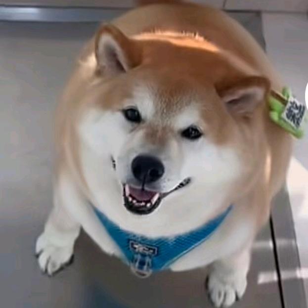 䒭㶡