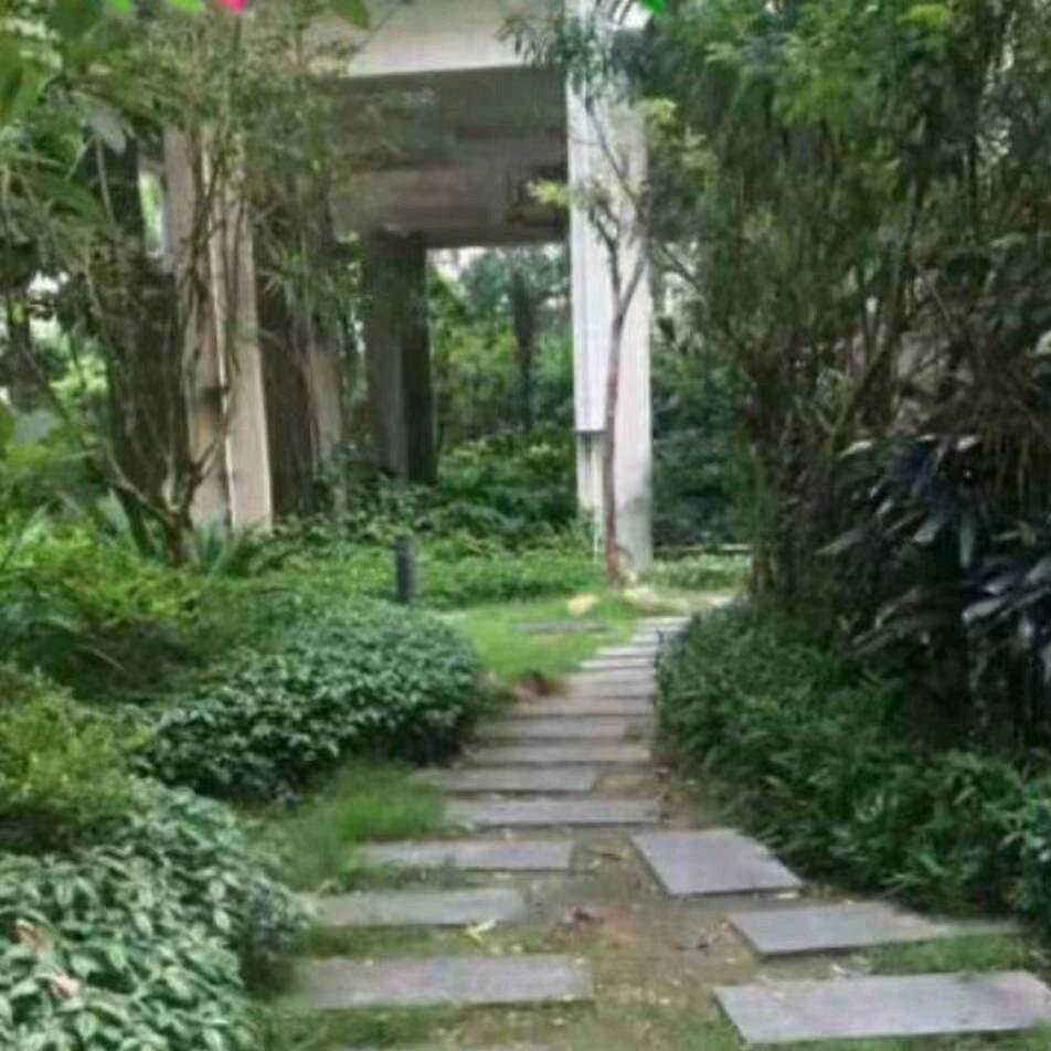 农村记录真实生活