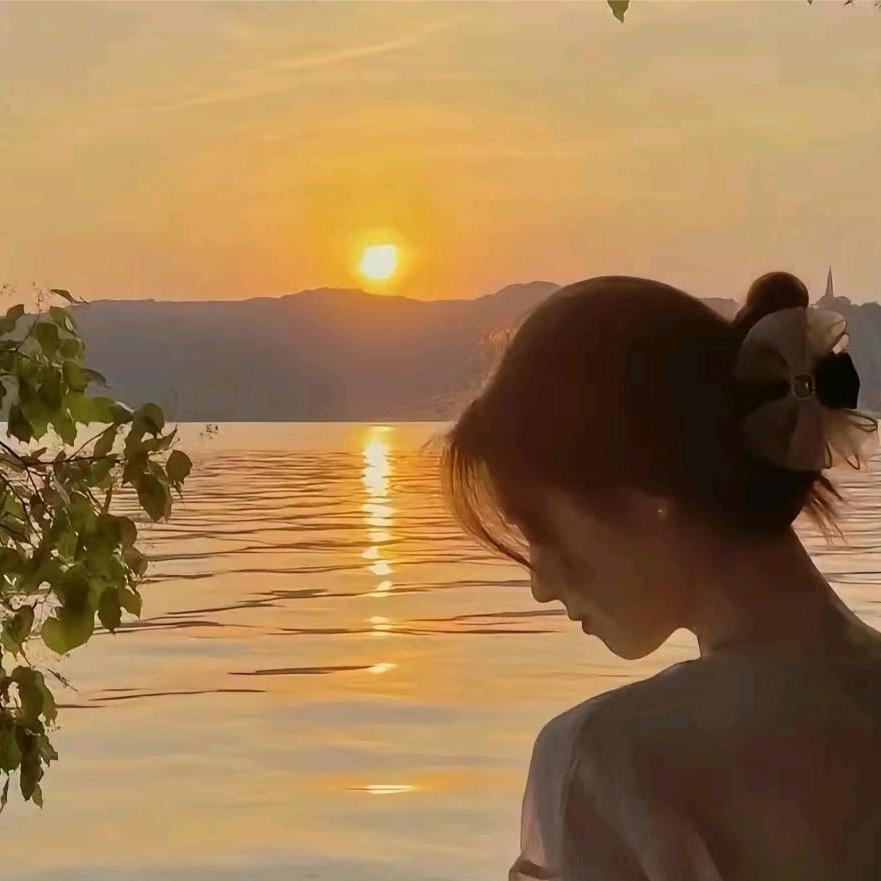宠物小精灵