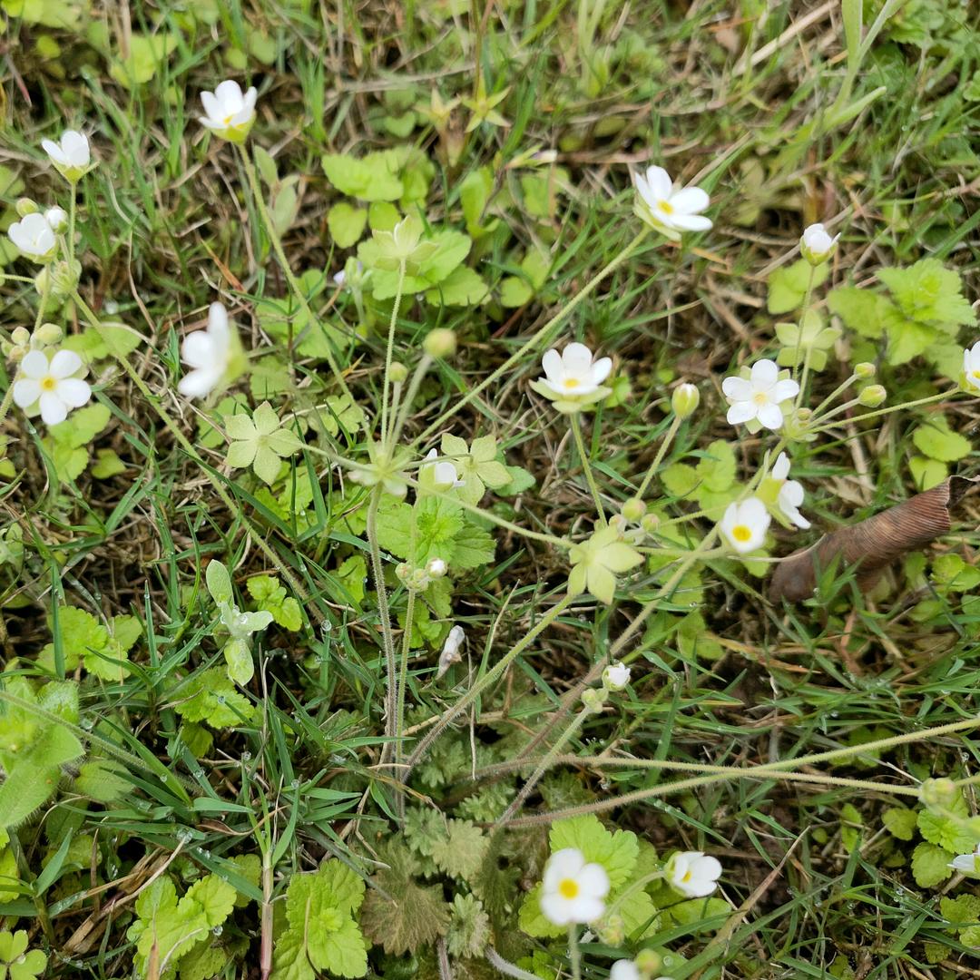 装修专业吊顶小邓