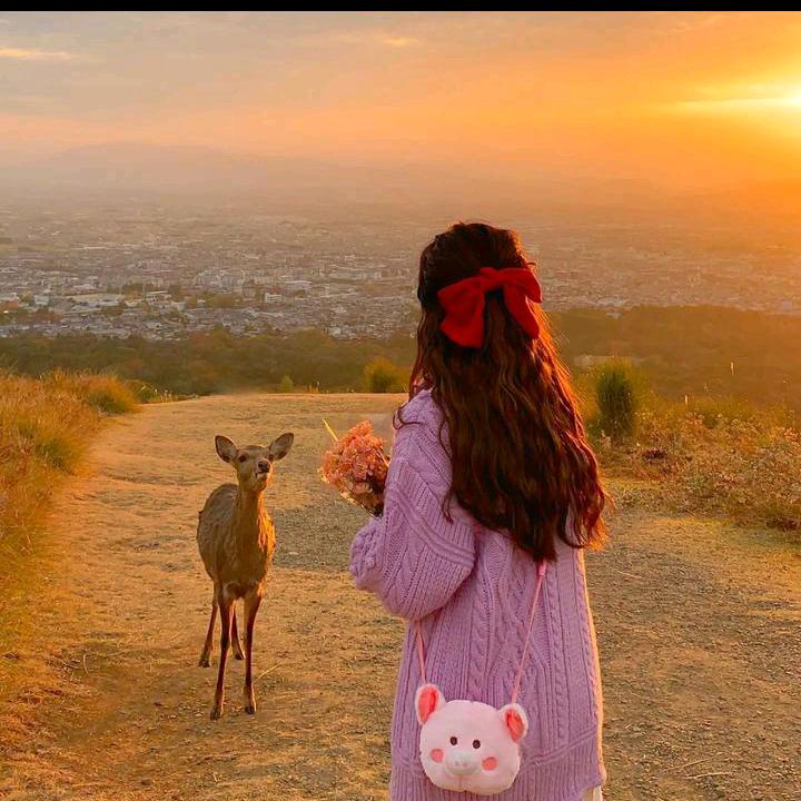 💞信命。不认命💞