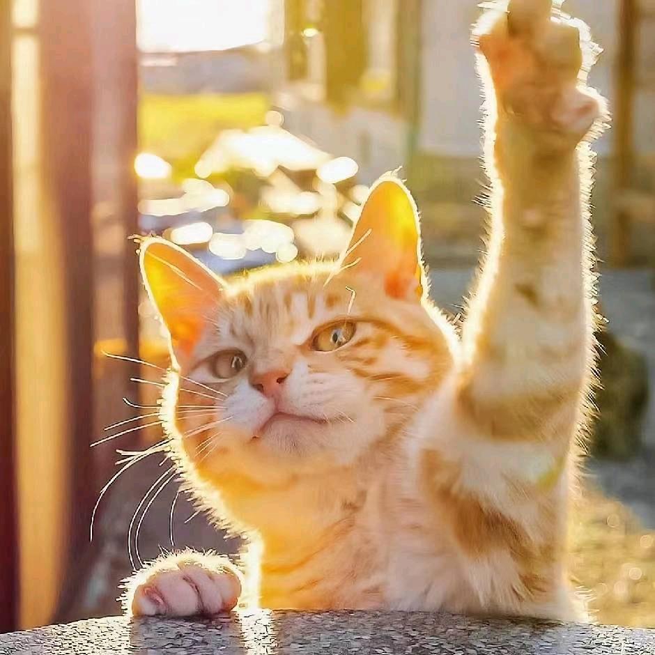 永逸