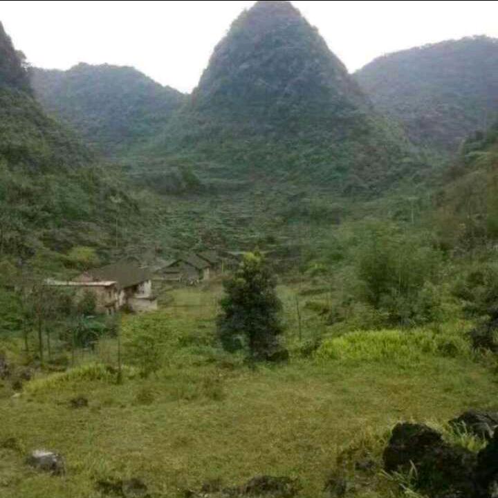 万万梅想到