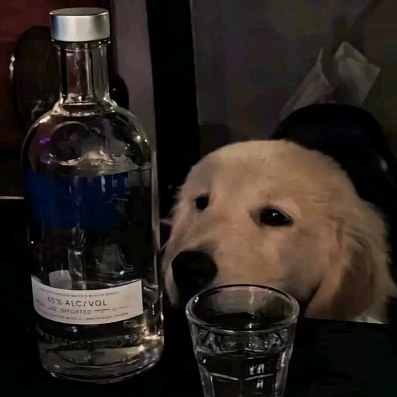 许头像