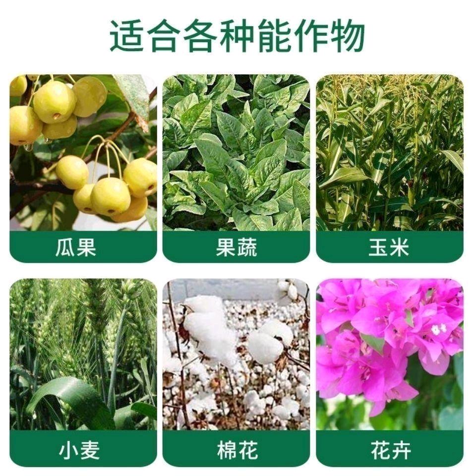 宏远农资仓储臻品技术服务部