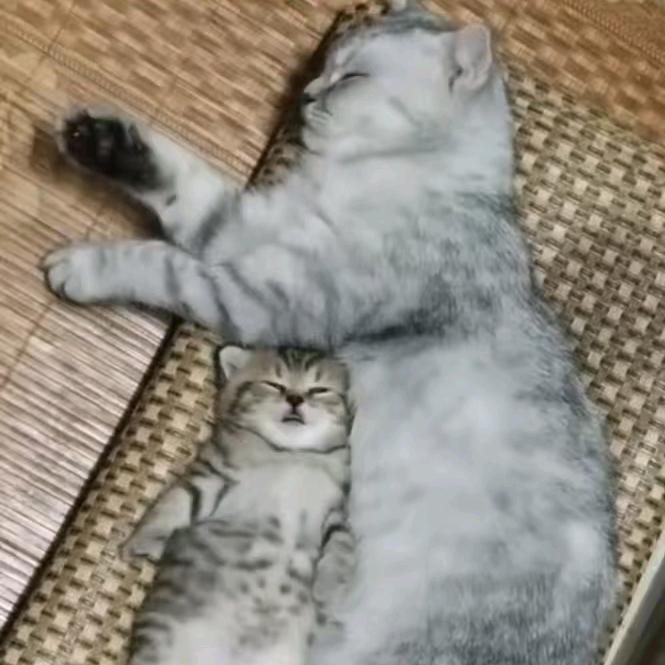 治愈系