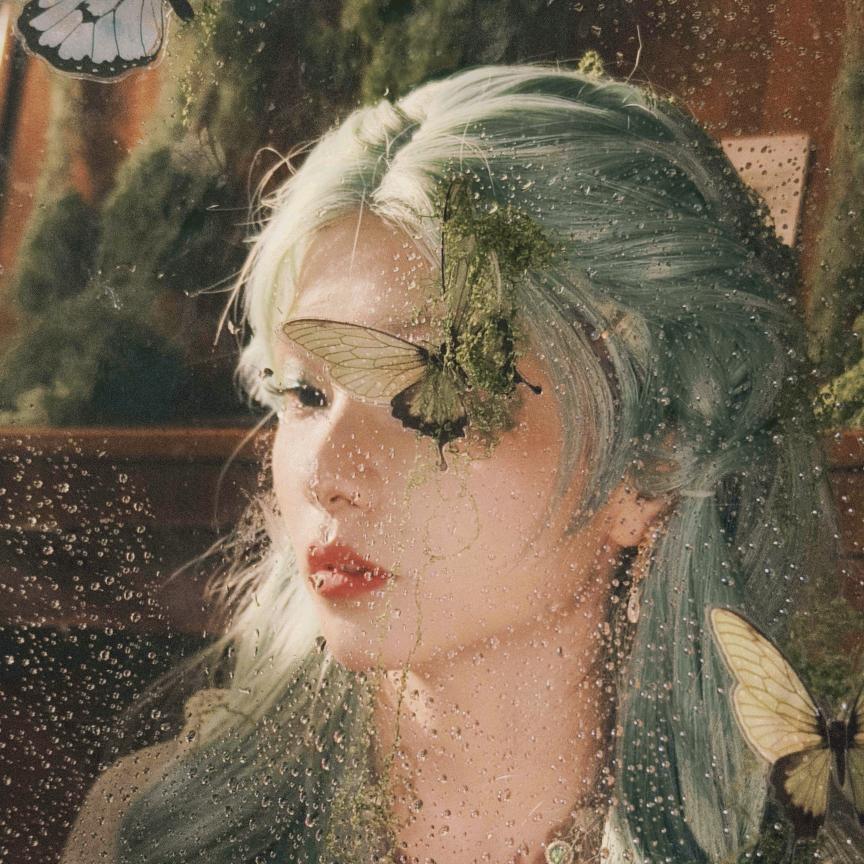 空气家加点空气