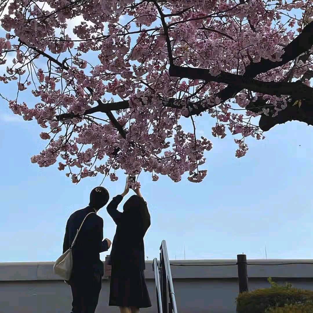 🌈白天