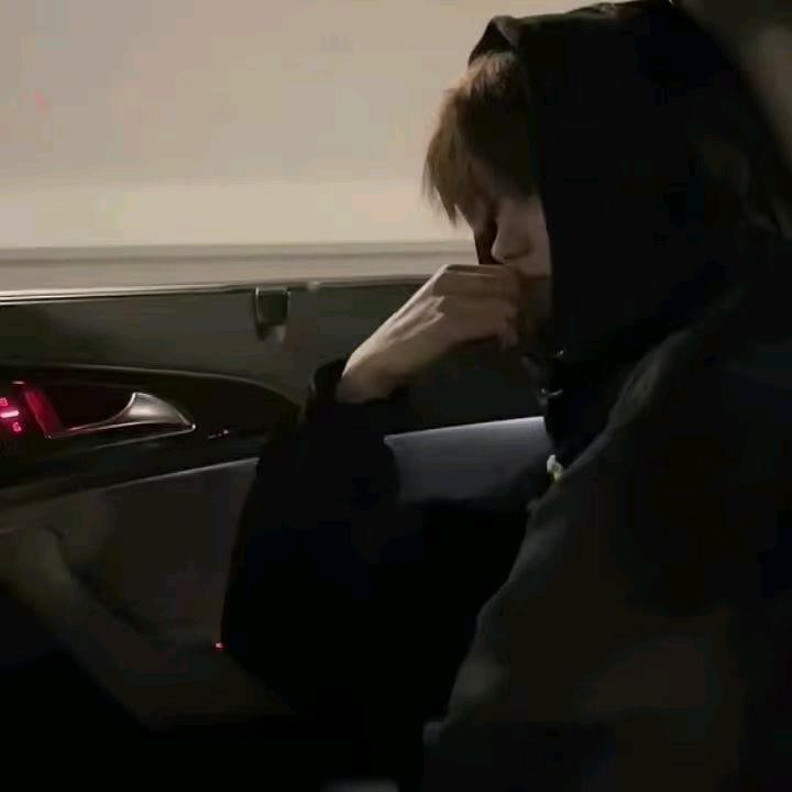 常青树