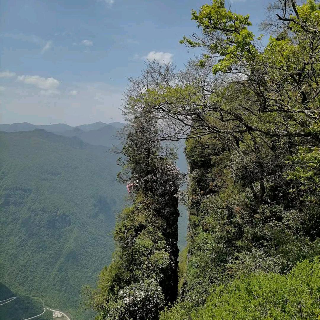 小宝贝