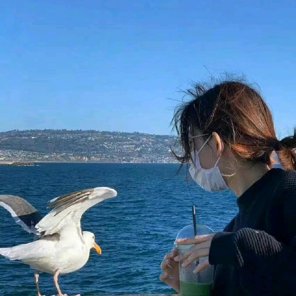 SangDrolkar🍀