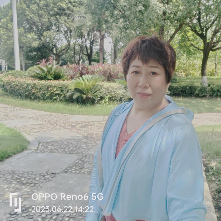 🌺艺🌺菲🌺