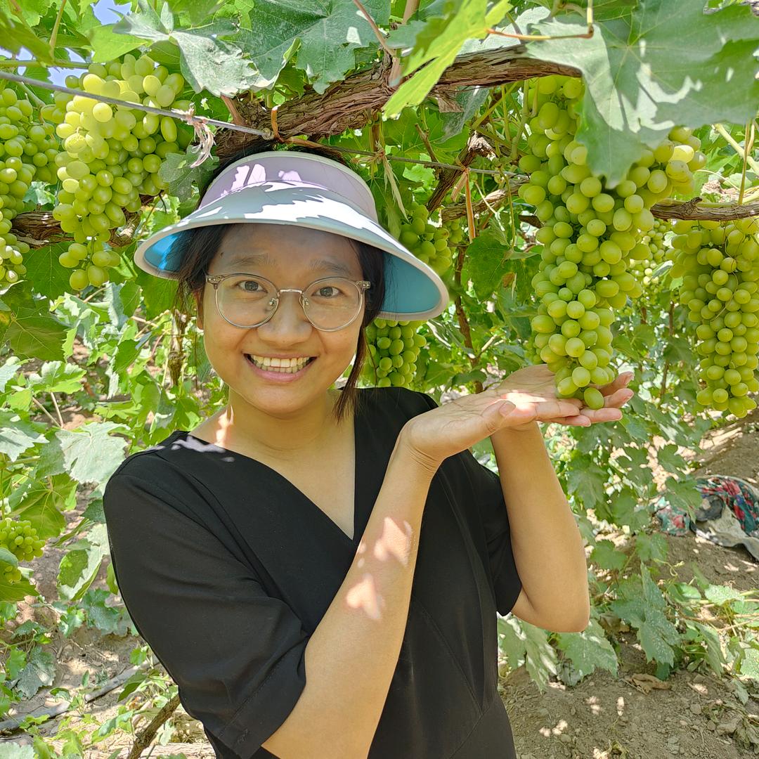 西域姑娘玛利娅