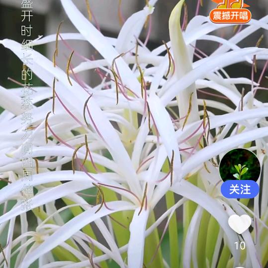上上签💃