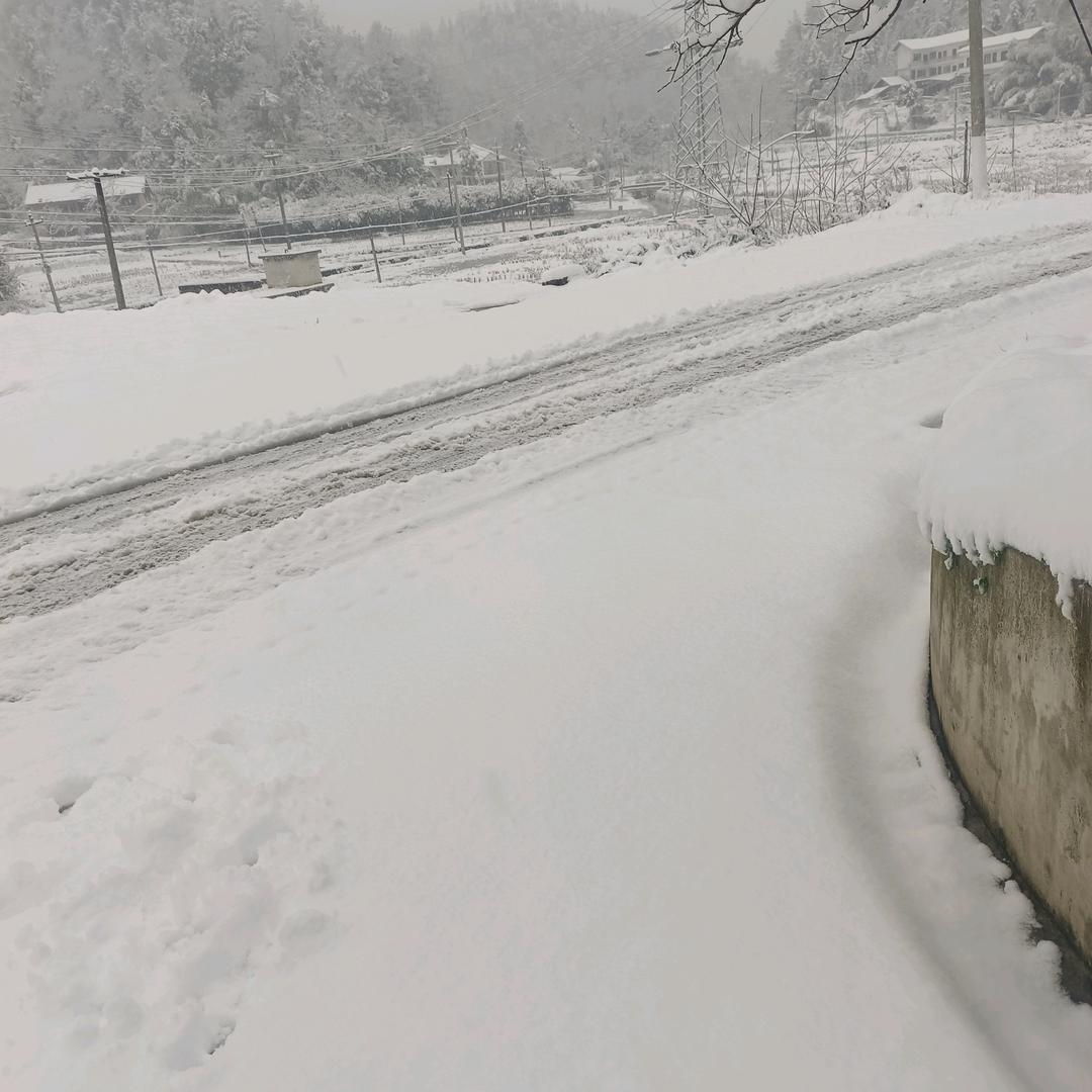 (♡⌂♡)偏爱与例外(♡⌂♡)
