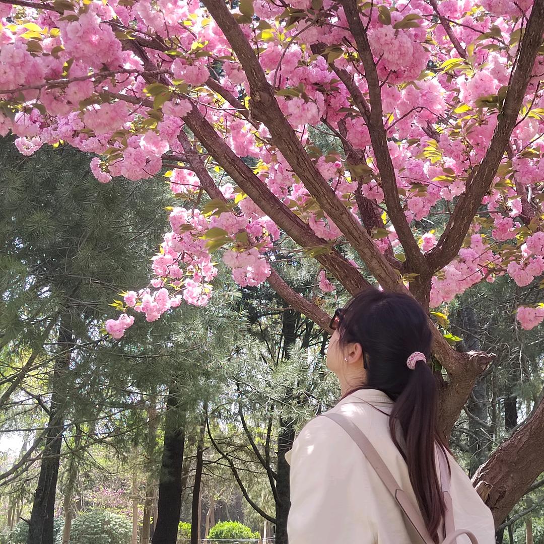 🥀哈💐哈🦋