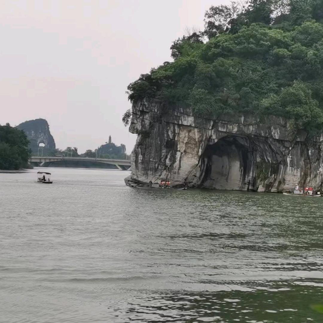小磨菇