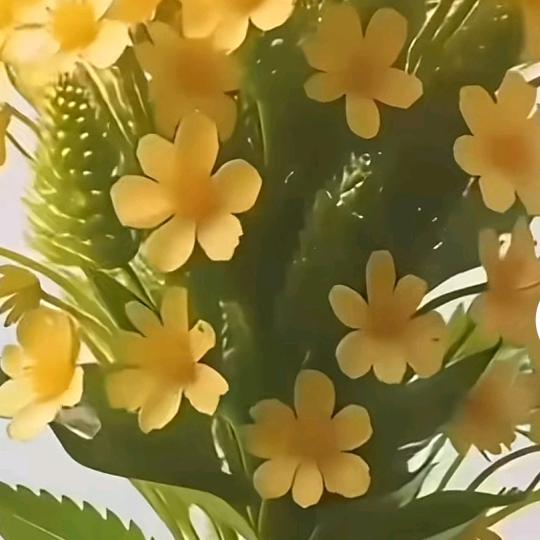 余生有你，