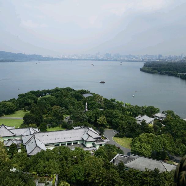 余皆来