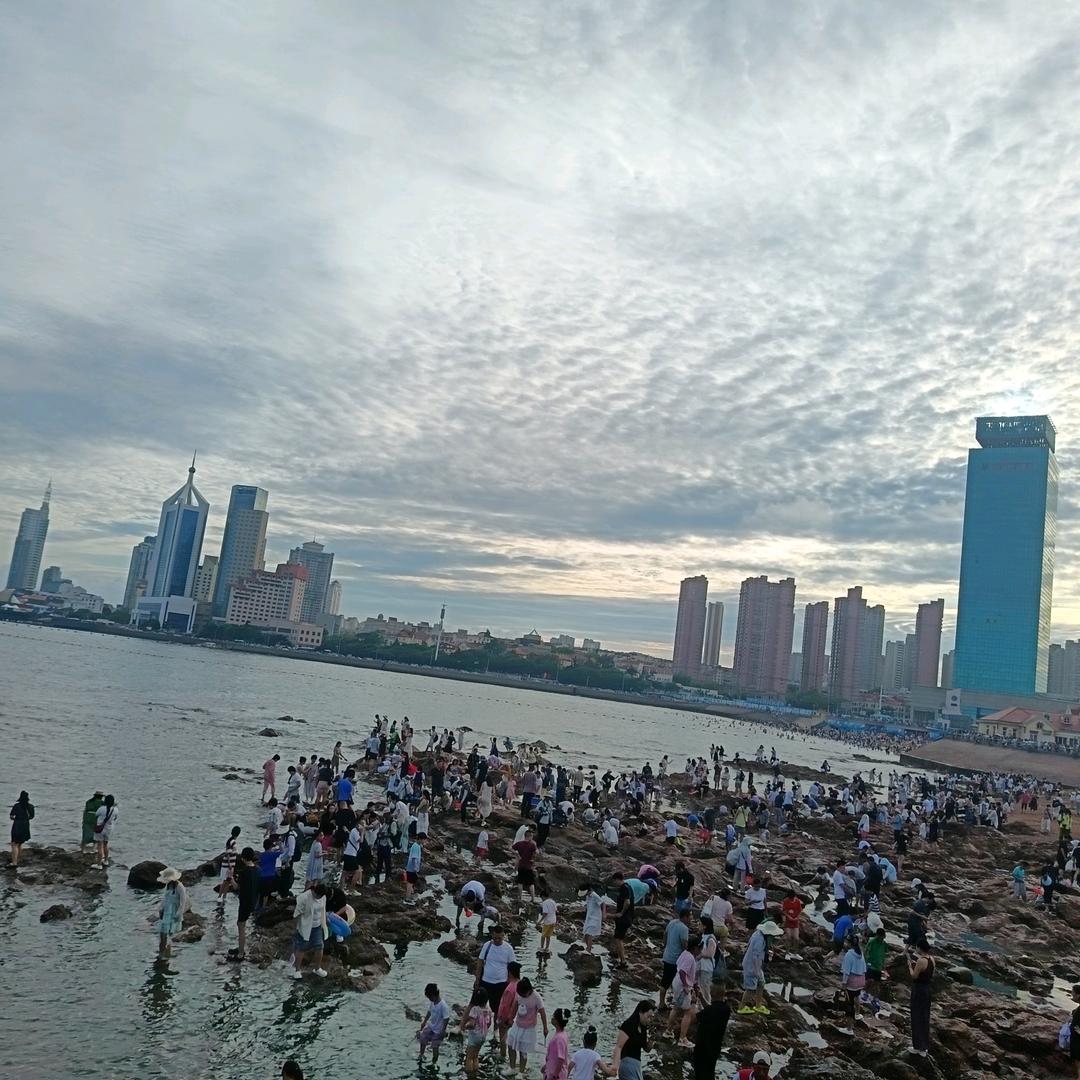 小芹