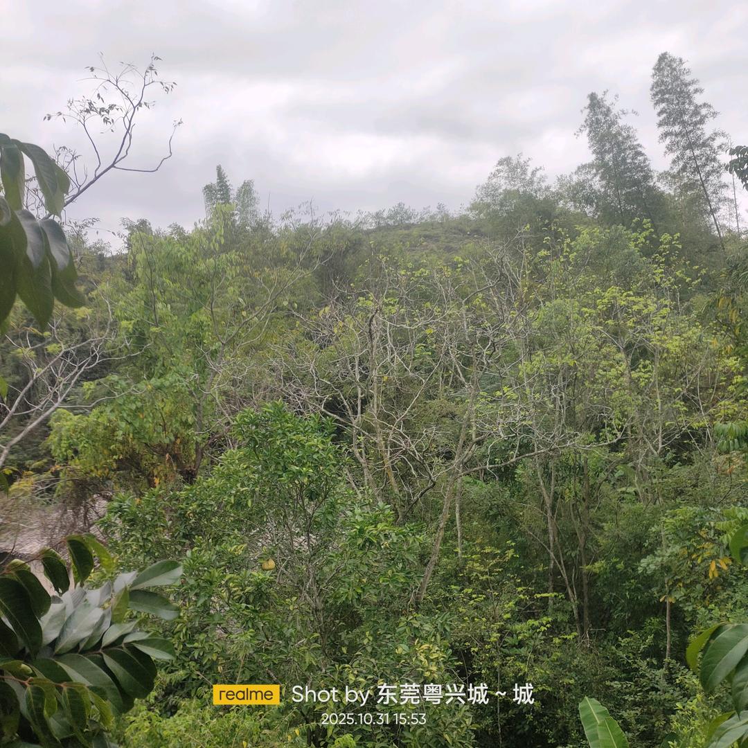 粤興城~东莞\0753