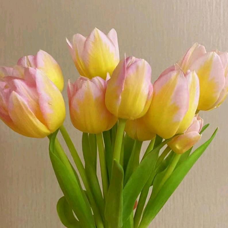 ༄༊࿆灵🐇兔ོྂཾ࿆࿐