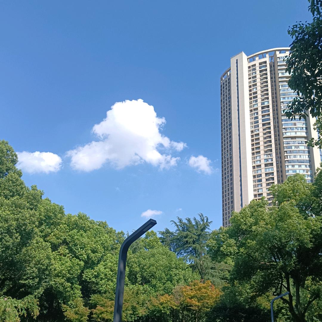 合肥杨老板货运生活