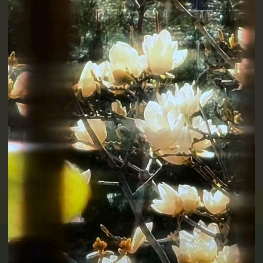 小边不想上班