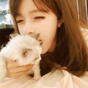 我说我不想工作了你盐晶虾嘛