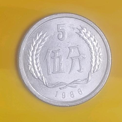 鑫鑫说事