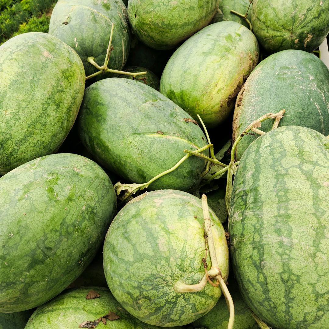 丰县便集刘元国（刘）