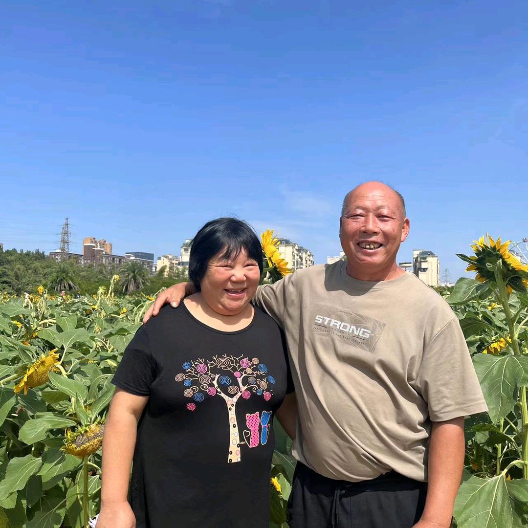 一帆风顺