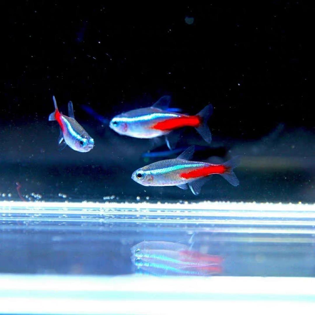 心怡水族馆