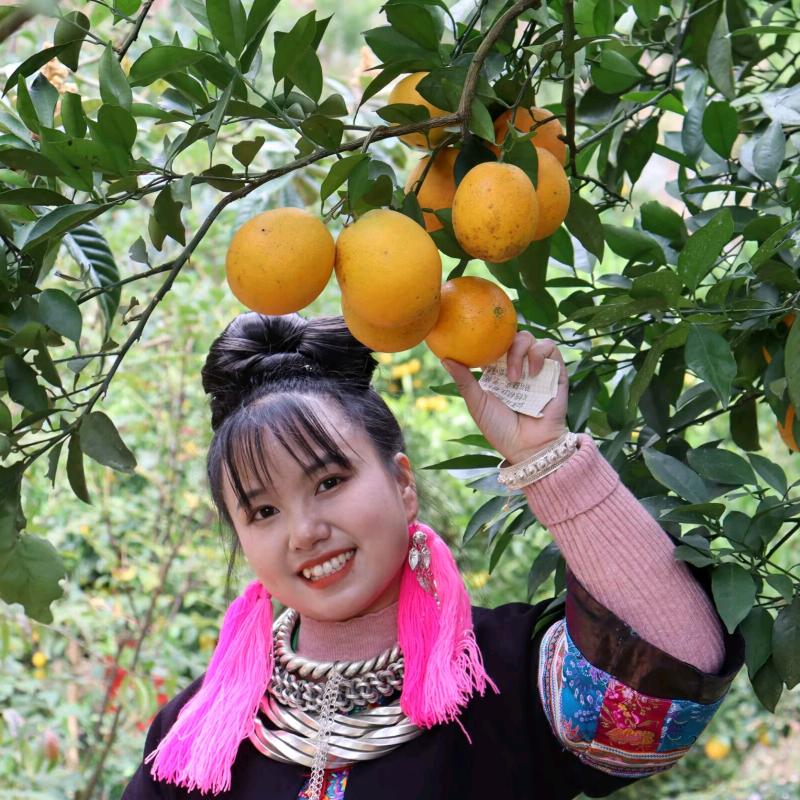 水珍很田农品精选