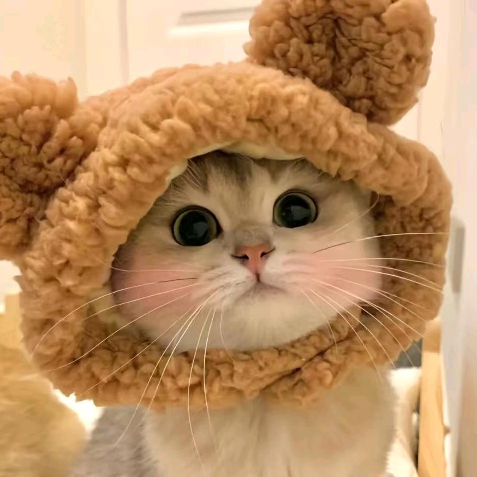 乐芝蛋糕（团结店希希）